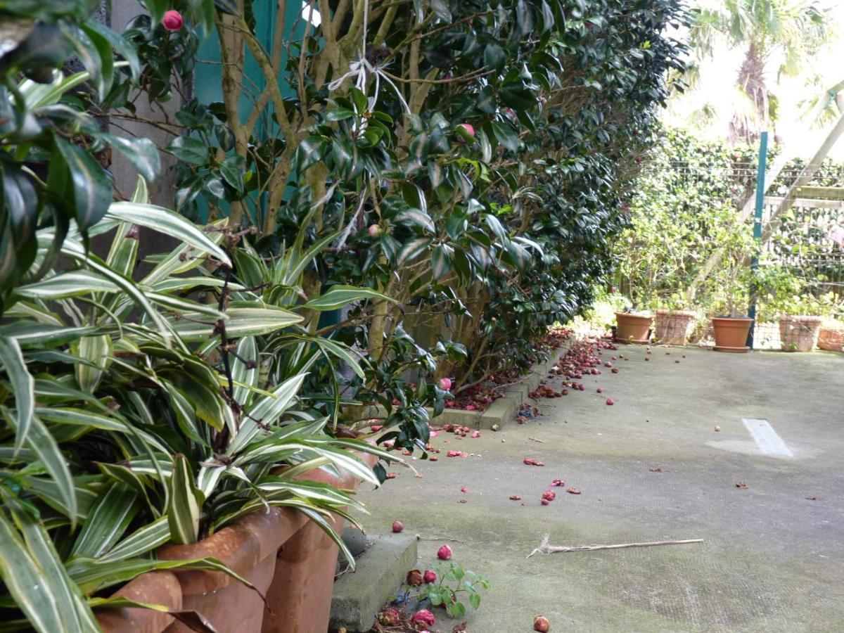 Azores Holidays House -B&B - Suites - Self Check-In Keyboard Ponta Delgada  Exterior photo