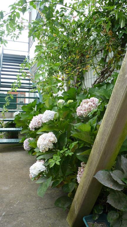 Azores Holidays House -B&B - Suites - Self Check-In Keyboard Ponta Delgada  Exterior photo